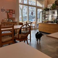 Interior design (dog-friendly) at Prince Peach in Berlin