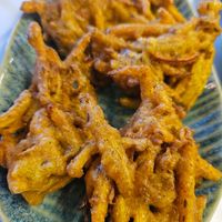 Pakaura Katchalo at Maza in Aschaffenburg