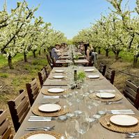   at Terragust in Mallorca