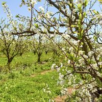   at Terragust in Mallorca