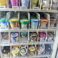 Clear distinctions between vegan and dairy ice creams  at Guru Health Food Store in Jamaica