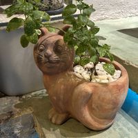   at Hoa Gom - Plant-Based Café & Vegan House in Da Nang