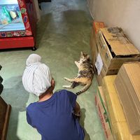   at Hoa Gom - Plant-Based Café & Vegan House in Da Nang