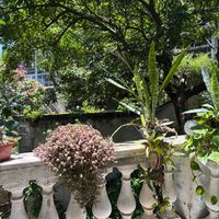  at Brunch da Mari Marola in Rio De Janeiro