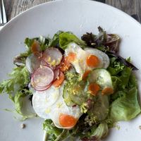 Mixed green salad, citrus vinaigrette, no cheese   at Wren in Suttons Bay