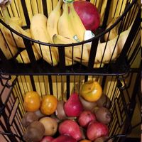 Always fruits at TrueNorth Health Center in Santa Rosa