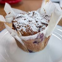 Blueberry Muffinns  at Alterna in Birmingham