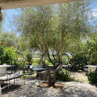   at Cantina Murales | Enoturismo in Gallura in Olbia