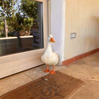   at Cantina Murales | Enoturismo in Gallura in Olbia