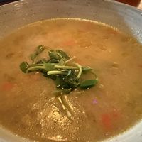   at Soft Medicine Sanctuary in Sebastopol