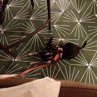 Dog friendly 😘  at The Lost Square in Savannah