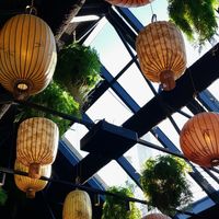 Decorations at Globe in Warmenhuizen