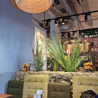  at Saravana Bhavan in Frankfurt