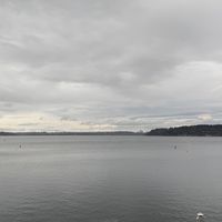 View!  at Water's Table in Renton