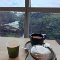 Bit rainy today but plenty of trees thru the big windows at Table 26 - Indooroopilly in Indooroopilly