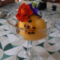 Sorbet manga com maracujá at Duchef in Petrolina