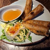 Fancy and tasty Spring Rolls at Mom's - Vegan Cooking in Berlin