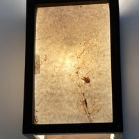   at Goyo - கோயோ in Auroville