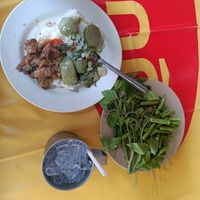 Green curry and something with jackfruit with a side of green beans at Somkid Vegetarian in Krabi