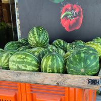  at G & G Golden Fruits in Rhodes