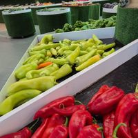  at G & G Golden Fruits in Rhodes