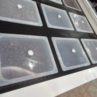  at G & G Golden Fruits in Rhodes