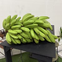 A bunch of bananas   at Printemps gourmand in Tahiti