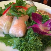 spring rolls  at Thai House in Miami Beach