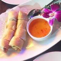 Veg Spring Rolls at Thai House in Miami Beach