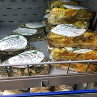   at BioPoint in Prague