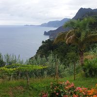  at Pizzeria il Furetto in Santana