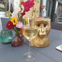 Wein at WeinGUT - Wein & Tapas in Neustadt