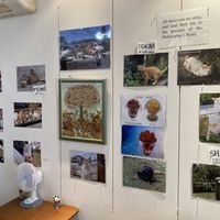 A wall of photos dedicated to local stray cats  at Vegan Cafe in Kyoto