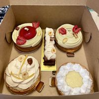   at Chez Fritz in Vienna