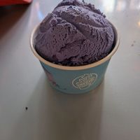 Ube vegan at Soft Swerve  in New York City