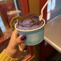 Ube ice cream with Oreo dust  at Soft Swerve  in New York City