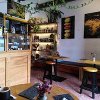 Space at Jangala: Cacao y Selva  in San Cristobal De Las Casas