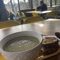 Soup of the day with seeds bread   at Queen's Wood Cafe in North London