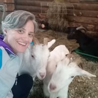 Jack and his mama Jenny at Frederick Farm Goat Rescue and Sanctuary in Napanoch