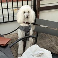 So beautiful I had to take a photo!   at RoofTop in Eureka