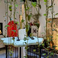  at NBTAHOUSE in Tangier