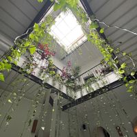   at NBTAHOUSE in Tangier