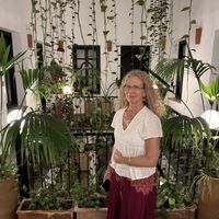   at NBTAHOUSE in Tangier