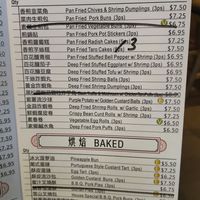 Vegan options marked with a "V" within a green circle. at Mr. Dim Sum in Tukwila