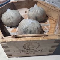   at Mr. Dim Sum in Tukwila