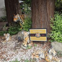 Entrance at Tiger Mama in Eugene