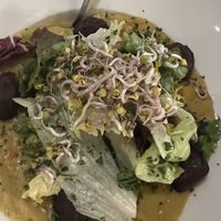   at Brunnenhof in Hannover