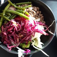  at KF Erde - ReSoWi in Graz