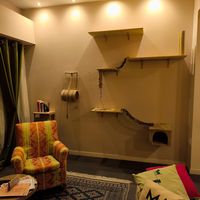 Playground 🙃 at Lə gattarə in Bergamo