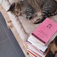  at Lə gattarə in Bergamo